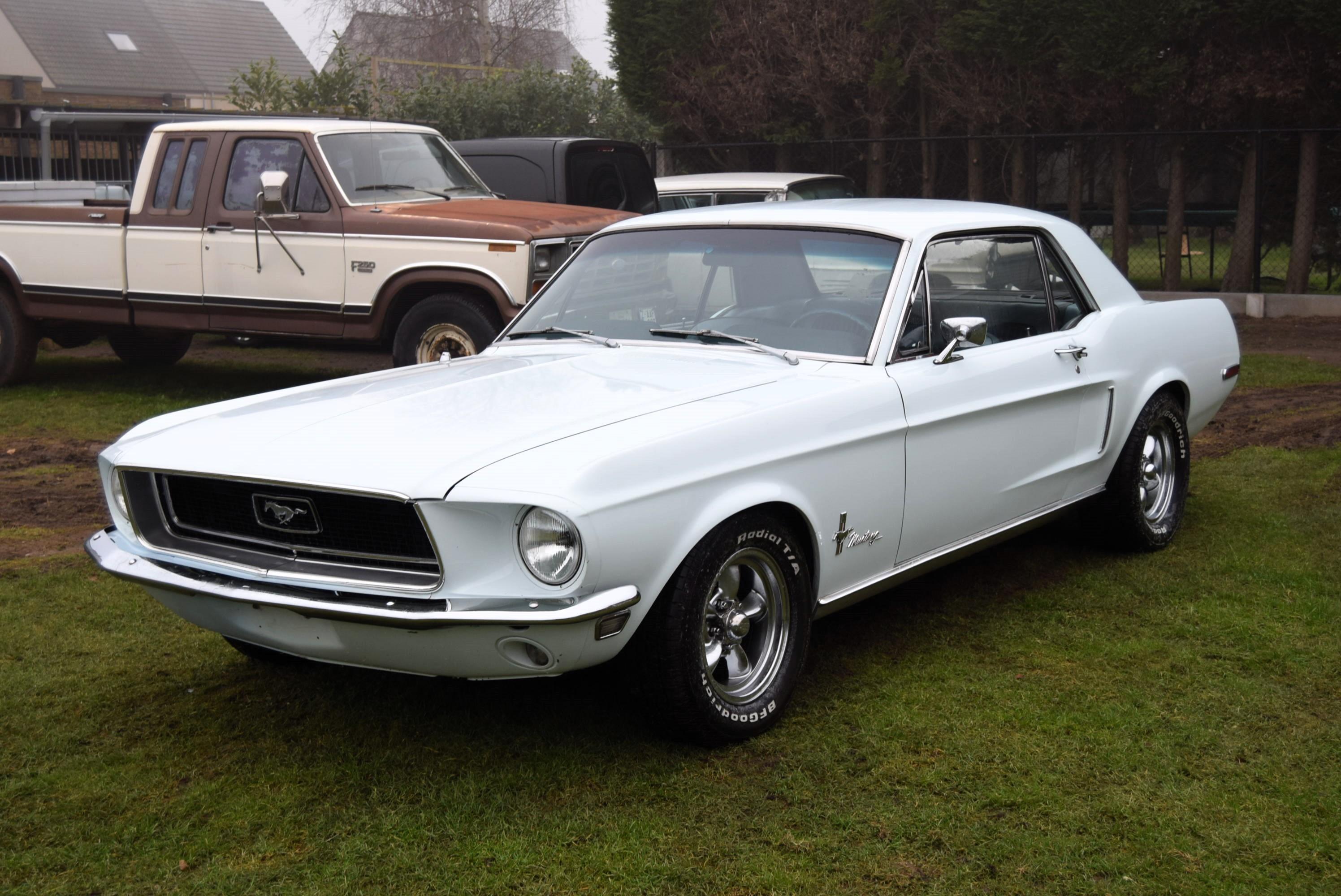 FORD MUSTANG 4.7L V8 289CID