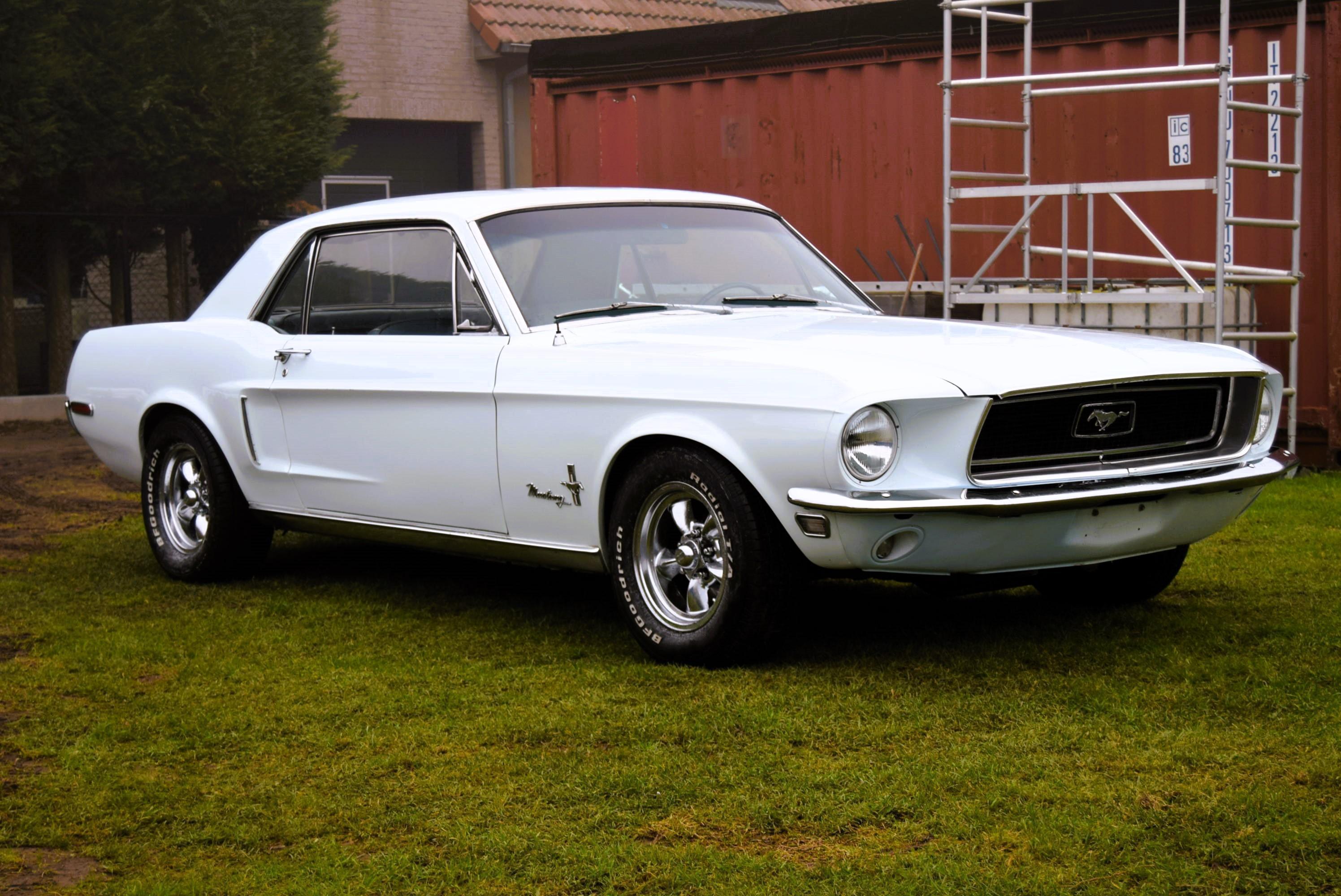 FORD MUSTANG 4.7L V8 289CID