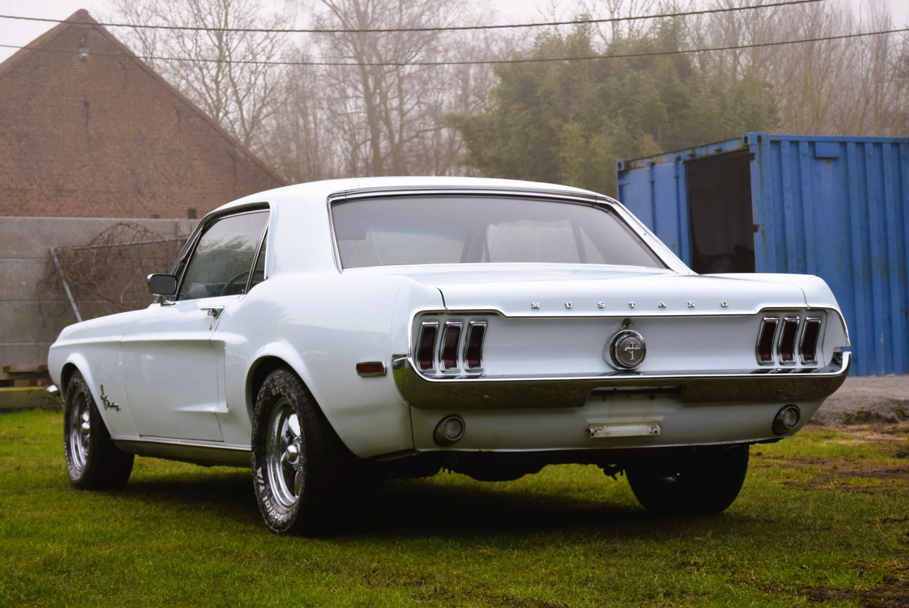 FORD MUSTANG 4.7L V8 289CID