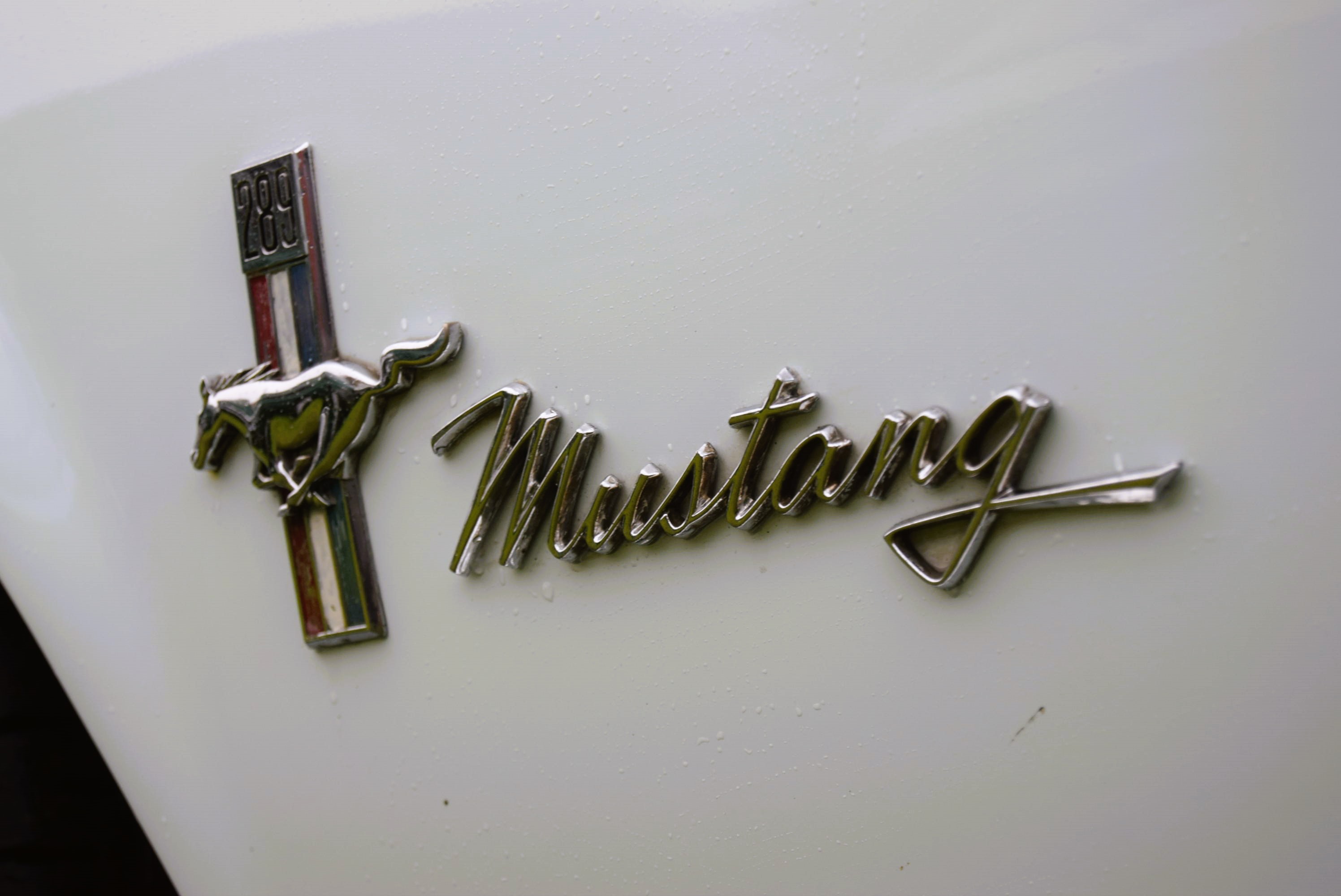 FORD MUSTANG 4.7L V8 289CID